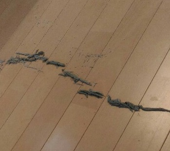ワックスをはがした跡のカス